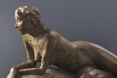 Narcissa 10" x 14" x 5"