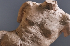 Male Torso II.7" x 9" x 5"